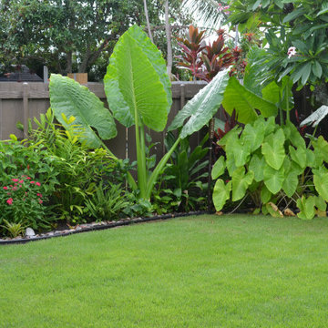 Tropical Paradise