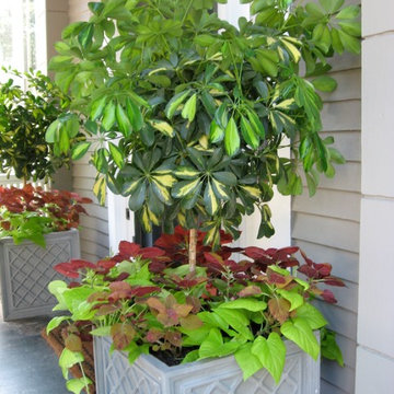 container gardens