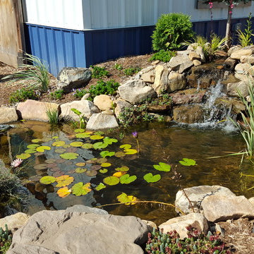 Tranquility Pond