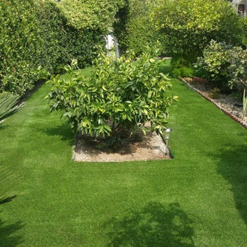 Artificial Grass Photos