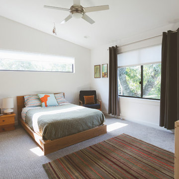 My Houzz: Mid Century Remodel in Austin