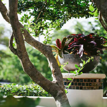 Tuscan Palm Beach