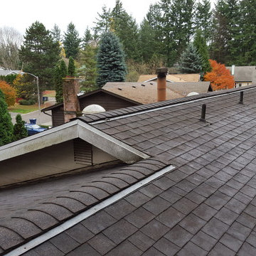 Roof cleaning
