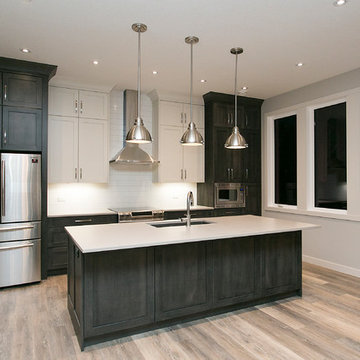 Modern/Contemporary Home