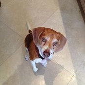 Heather Mersereau's photo