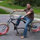 daniel_cook