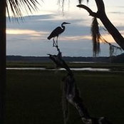 Betty Cox-Smith's photo