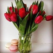 Alexandra Latcu's photo