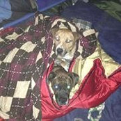 Kevin Diep's photo
