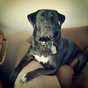 Anthony McConnaughey's photo