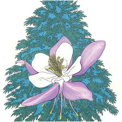 Columbine Tree S