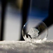 Cortni Lilley's photo