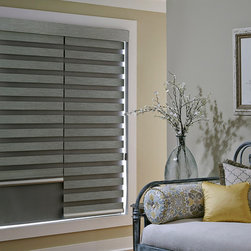 Allure&reg; Transitional Shades - Window Blinds
