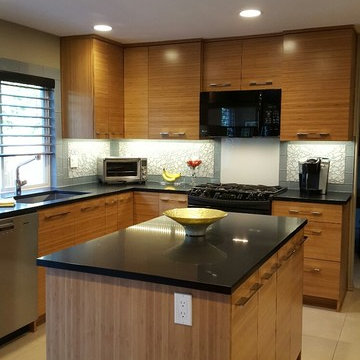 Contemporary Kitchen remodel