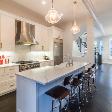 Lincoln Park Three-Story De-conversion & Renovation
