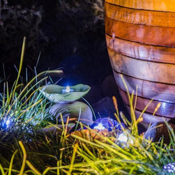 Seed Pod Fountains - Garden Statues And Yard Art