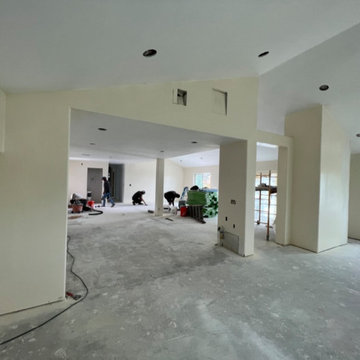 De Luz Home Remodel