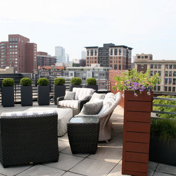 Hoboken Rooftop Garden