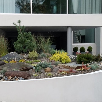Ultra-Modern House with Rock Garden