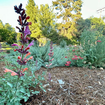 Encinitas Pollinator Garden