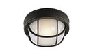 Craftmade Z394 Bulkheads 1 Light Wall Sconce or Ceiling Fixture