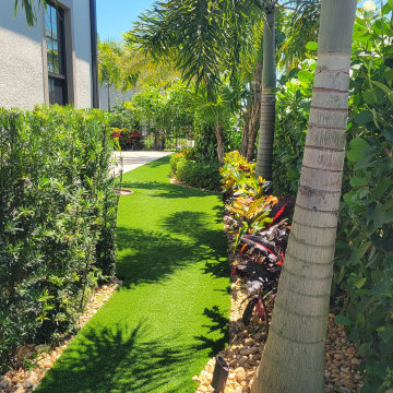 Parkland Modern Tropical Backyard with Palm Trees & Turf
