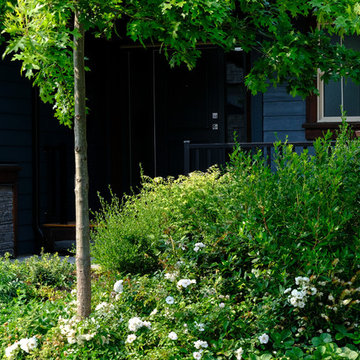 Pollinator Haven