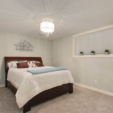 Cranston Basement Renovation