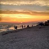 Pam Thombley's photo