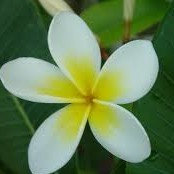 Ratna Desai's photo
