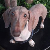 Roger Santana's photo