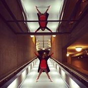 Bronwen Marshall's photo