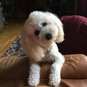 Sue Curtis's photo