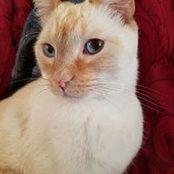 Brylla Diggle's photo