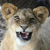 Carla Heath's photo