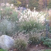 Bren Landscaping's photo