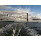 Susan Douglas's photo