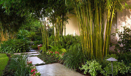 Add Volume to Your Garden With These Fast-Growing, Hassle-Free Plants