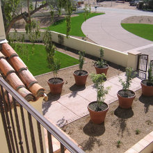 Az ranch