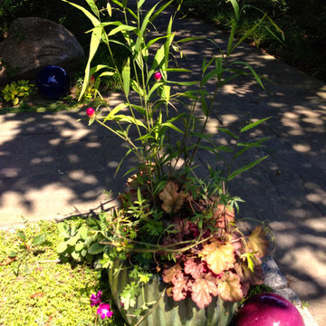 Coastal Rhode Island Garden: Salt Pond Friendly