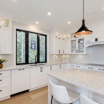 Armitage Avenue Custom Home - Kitchen
