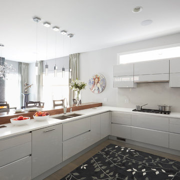 Contemporary Kitchen with Class - Wheaton, IL