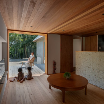三角屋根の棲家