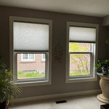 Top-Down Bottom-Up Honeycomb Shades & Blackout Solutions – Multi-Room