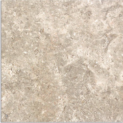 Limestone Jerusalem Taupe Tile - Products