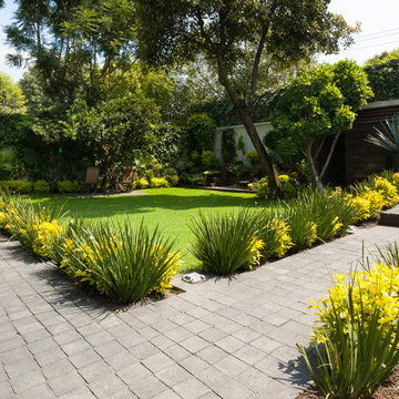 Mexico City Home
