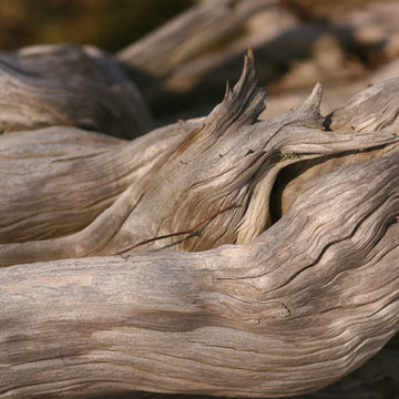 Beach House Kitchen - Driftwood Inspiration