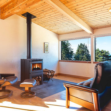 Sea Ranch Conifer Remodel