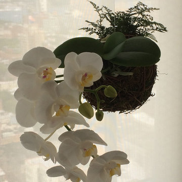 Plant sculptures - West 18th Street, New York