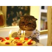 Alexandra Bessonova's photo